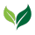 ecology
