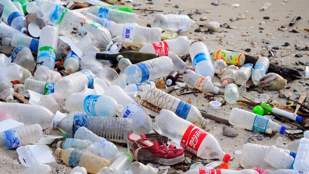 La pollution plastique